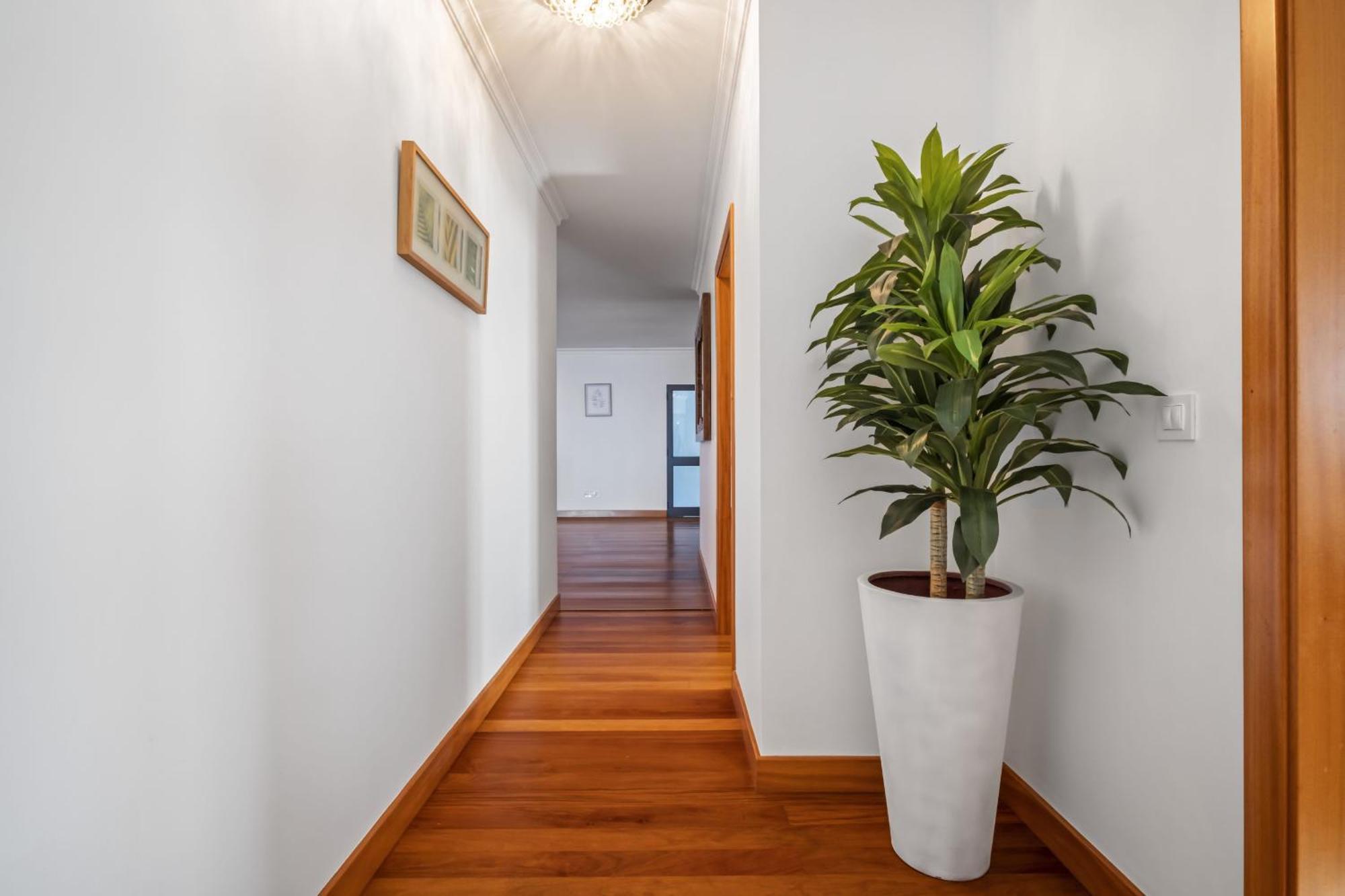 הוילה ארקו דה קלחטה Faias Haven By Madeira Sun Travel מראה חיצוני תמונה